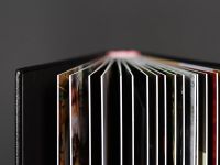 IMG_9036.jpg